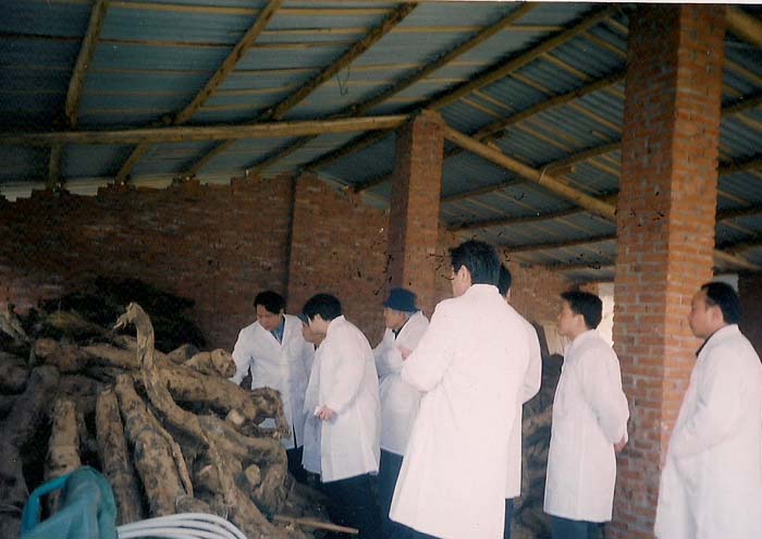 2003年日本客商到武漢公司考察葛粉加工和貿易合作洽談